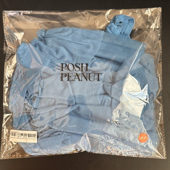 Posh Peanut Western Blue Ruffled Cap Sleeve Tulle Dress - Picture 9 of 9